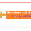 Structure and Growth of Cooperatives