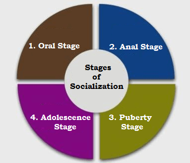 social processes definition