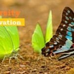 Biodiversity