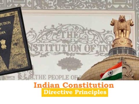 Constitution directive principles