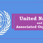 United Nations and Associated Organization