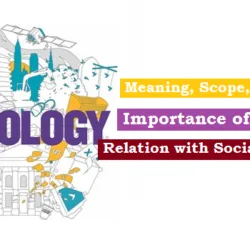 sociology introduction